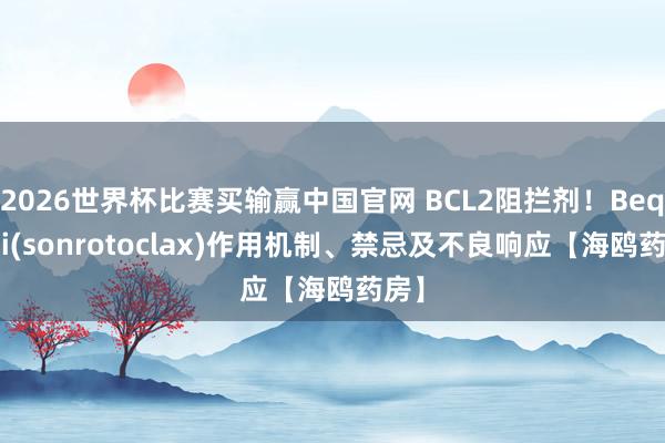 2026世界杯比赛买输赢中国官网 BCL2阻拦剂！Beqalzi(sonrotoclax)作用机制、禁忌及不良响应【海鸥药房】