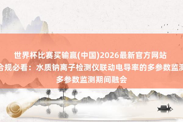 世界杯比赛买输赢(中国)2026最新官方网站 火电环保合规必看：水质钠离子检测仪联动电导率的多参数监测期间融会