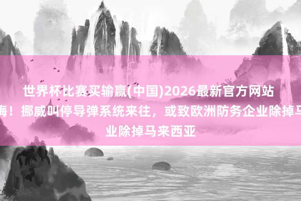 世界杯比赛买输赢(中国)2026最新官方网站 临时反悔！挪威叫停导弹系统来往，或致欧洲防务企业除掉马来西亚