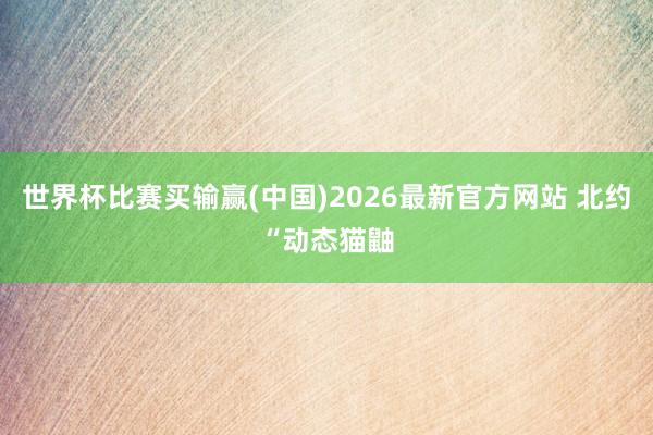 世界杯比赛买输赢(中国)2026最新官方网站 北约“动态猫鼬