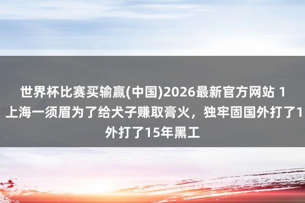 世界杯比赛买输赢(中国)2026最新官方网站 1989年，上海一须眉为了给犬子赚取膏火，独牢固国外打了15年黑工