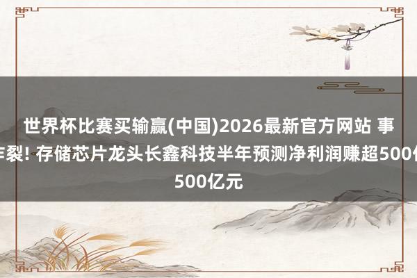 世界杯比赛买输赢(中国)2026最新官方网站 事迹炸裂! 存储芯片龙头长鑫科技半年预测净利润赚超500亿元