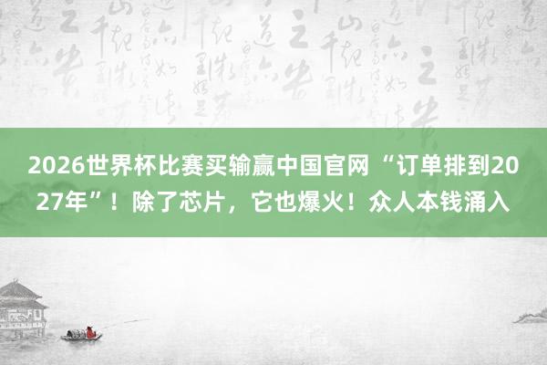 2026世界杯比赛买输赢中国官网 “订单排到2027年”！除了芯片，它也爆火！众人本钱涌入