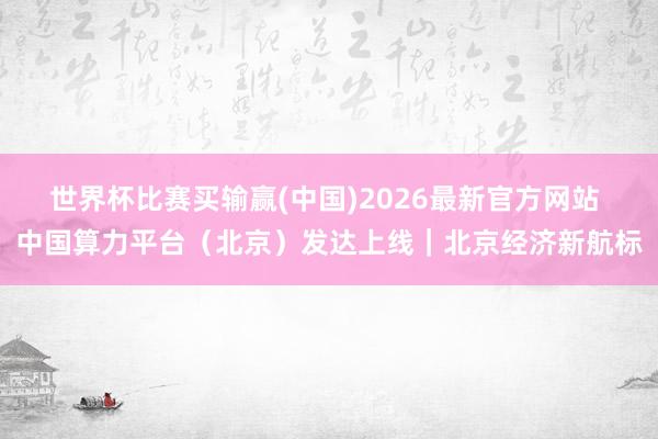 世界杯比赛买输赢(中国)2026最新官方网站 中国算力平台（北京）发达上线｜北京经济新航标