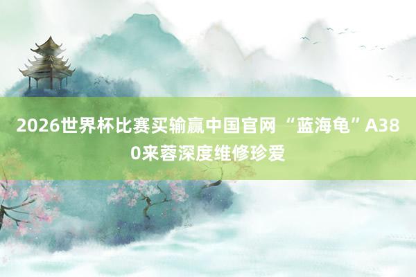 2026世界杯比赛买输赢中国官网 “蓝海龟”A380来蓉深度维修珍爱