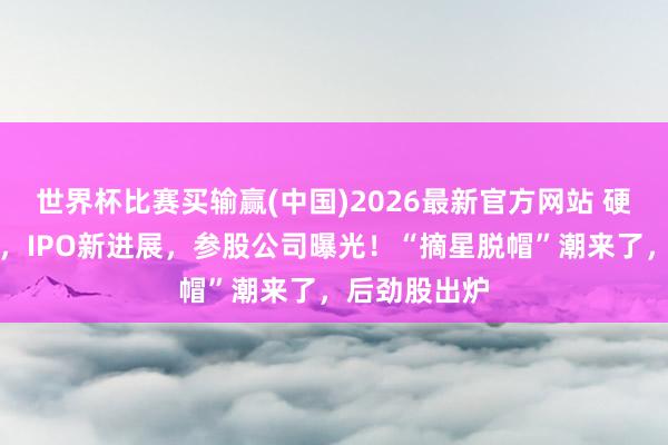 世界杯比赛买输赢(中国)2026最新官方网站 硬科技独角兽，IPO新进展，参股公司曝光！“摘星脱帽”潮来了，后劲股出炉