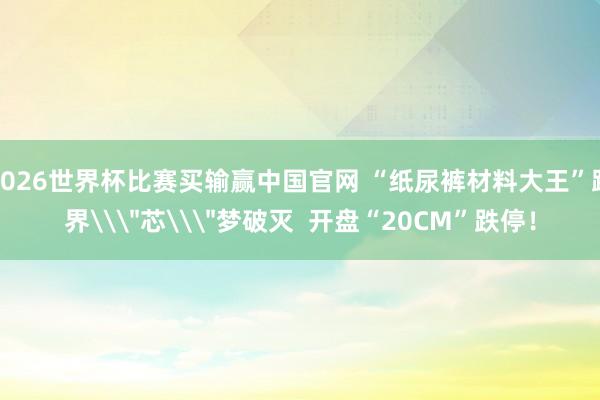 2026世界杯比赛买输赢中国官网 “纸尿裤材料大王”跨界\