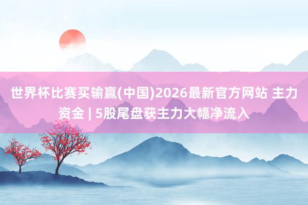 世界杯比赛买输赢(中国)2026最新官方网站 主力资金 | 5股尾盘获主力大幅净流入