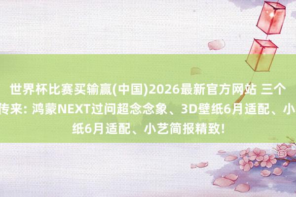 世界杯比赛买输赢(中国)2026最新官方网站 三个好音讯同期传来: 鸿蒙NEXT过问超念念象、3D壁纸6月适配、小艺简报精致!