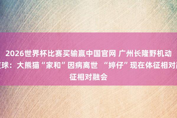 2026世界杯比赛买输赢中国官网 广州长隆野机动物寰球：大熊猫“家和”因病离世  “婷仔”现在体征相对融会