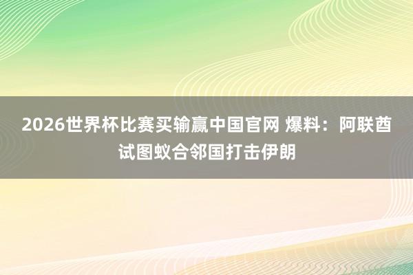 2026世界杯比赛买输赢中国官网 爆料：阿联酋试图蚁合邻国打击伊朗