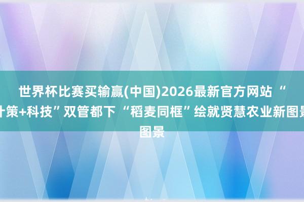 世界杯比赛买输赢(中国)2026最新官方网站 “计策+科技”双管都下 “稻麦同框”绘就贤慧农业新图景