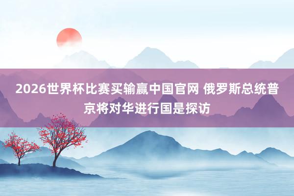 2026世界杯比赛买输赢中国官网 俄罗斯总统普京将对华进行国是探访