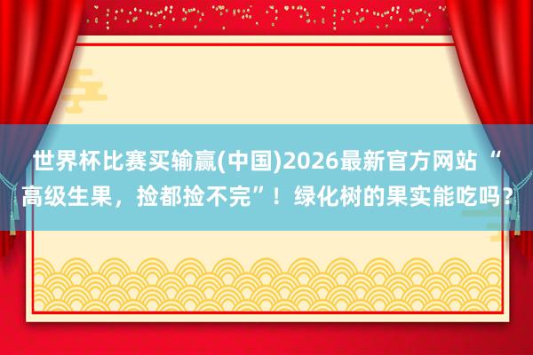 世界杯比赛买输赢(中国)2026最新官方网站 “高级生果，捡都捡不完”！绿化树的果实能吃吗？
