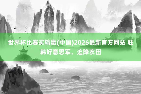 世界杯比赛买输赢(中国)2026最新官方网站 驻韩好意思军，迫降农田