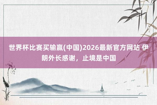 世界杯比赛买输赢(中国)2026最新官方网站 伊朗外长感谢，止境是中国