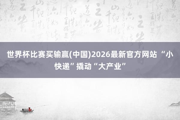 世界杯比赛买输赢(中国)2026最新官方网站 “小快递”撬动“大产业”