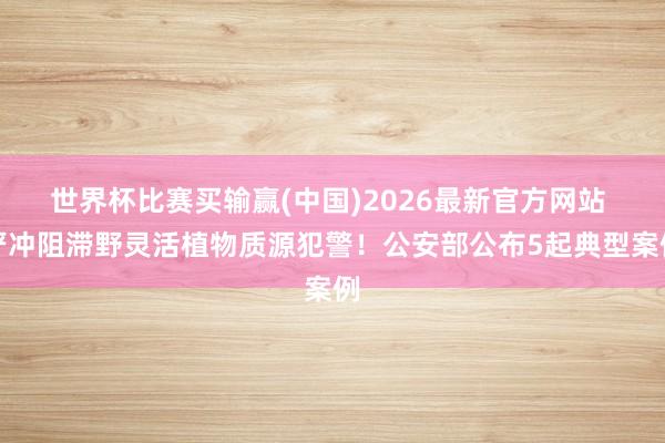 世界杯比赛买输赢(中国)2026最新官方网站 严冲阻滞野灵活植物质源犯警！公安部公布5起典型案例