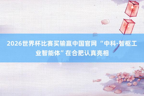 2026世界杯比赛买输赢中国官网 “中科·智枢工业智能体”在合肥认真亮相