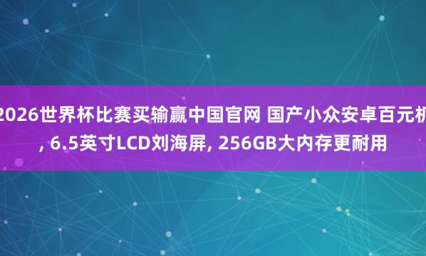 2026世界杯比赛买输赢中国官网 国产小众安卓百元机， 6.5英寸LCD刘海屏， 256GB大内存更耐用