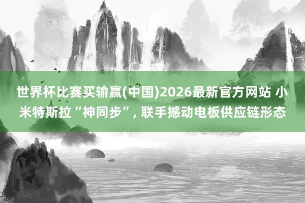 世界杯比赛买输赢(中国)2026最新官方网站 小米特斯拉“神同步”， 联手撼动电板供应链形态