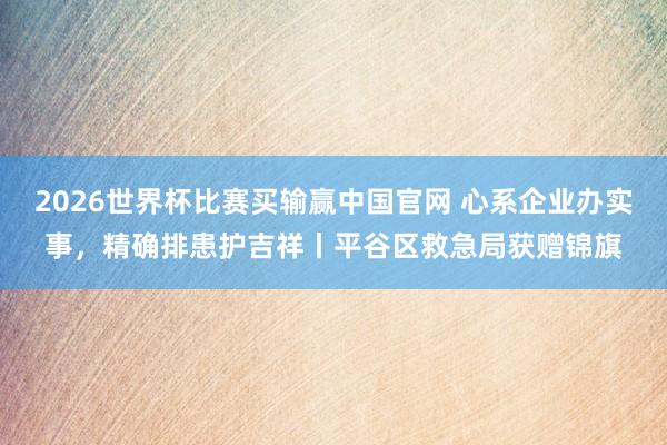 2026世界杯比赛买输赢中国官网 心系企业办实事，精确排患护吉祥丨平谷区救急局获赠锦旗