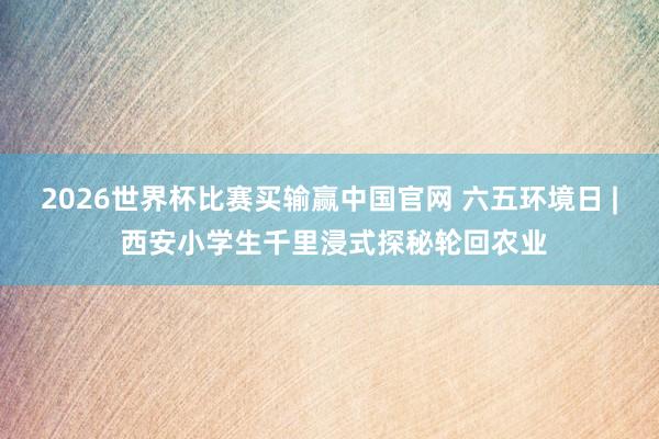 2026世界杯比赛买输赢中国官网 六五环境日 | 西安小学生千里浸式探秘轮回农业