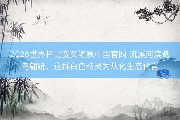 2026世界杯比赛买输赢中国官网 流溪河滨鹭鸟翩跹,这群白色精灵为从化生态代言