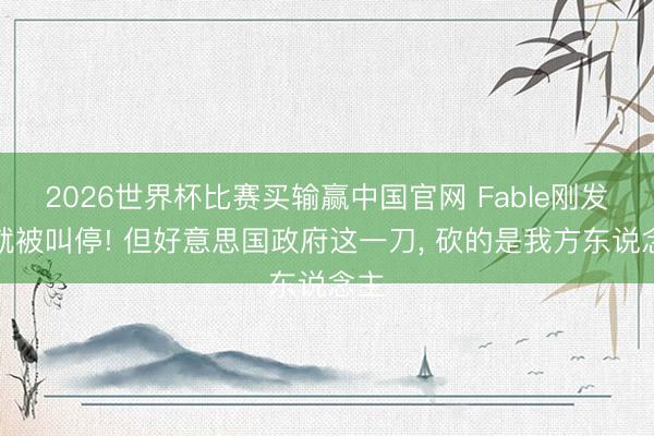 2026世界杯比赛买输赢中国官网 Fable刚发布就被叫停! 但好意思国政府这一刀, 砍的是我方东说念主