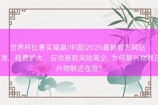 世界杯比赛买输赢(中国)2026最新官方网站 营收下滑、耗费扩大、应收账款风险高企, 为何碧兴物联还在涨?